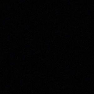 Meet your Posher, Lexi